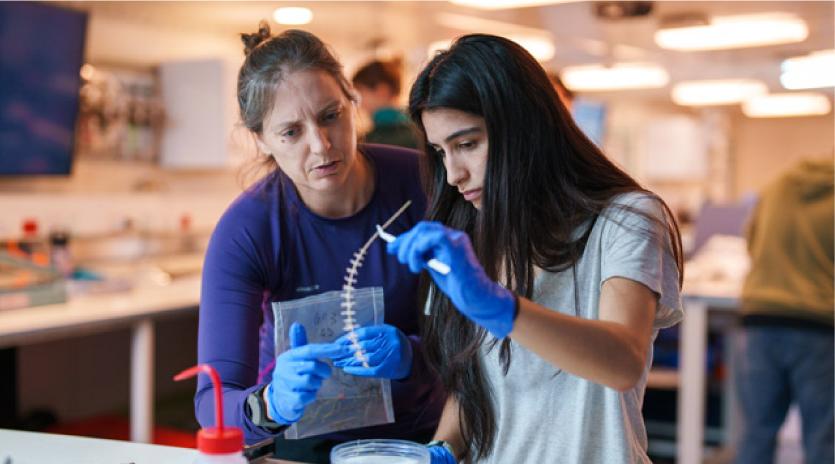 Erin Easton (赌博平台 assistant professor with the School of Earth, 环境与海洋科学 and Schmidt Ocean Institute chief scientist) and Elyssia Gonzalez (a 赌博平台 grad student pursuing a master’s degree in Ocean, Coast and Earth Sciences) work together in the Research Vessel Falkor (too)'s Main Lab.